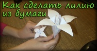 Делай сам Как сделать лилию из бумаги - Оригами из бумаги видео-урок